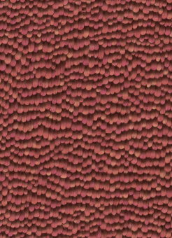 10129-06