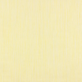 53844