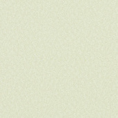 Erismann Eterna 2016 5797-07