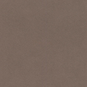 527049