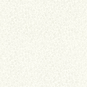802207