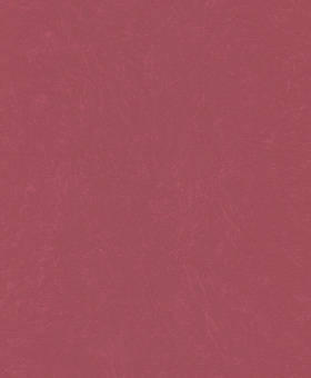 445008
