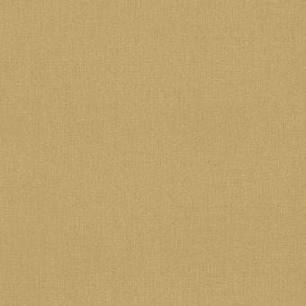 545807