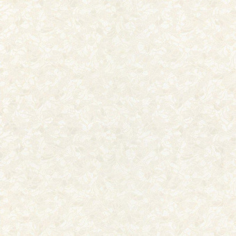 56038