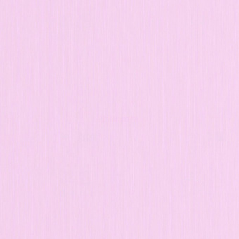 53833