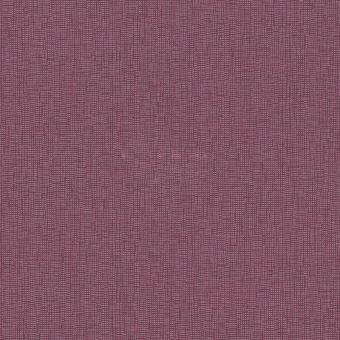 305753