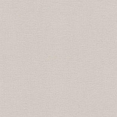 Rasch Florentine 2 (2019) 448610