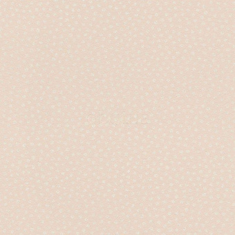 523638
