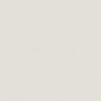 55202