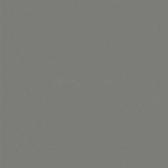 55205