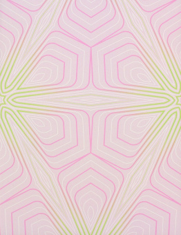 55013