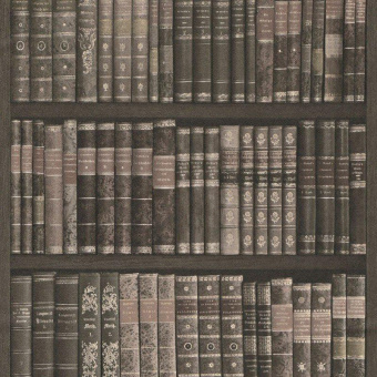 525823