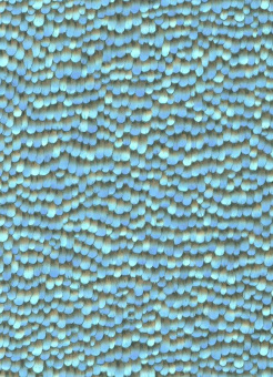 10129-08