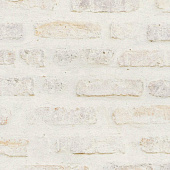 A.S.Creation New Walls 37422-1
