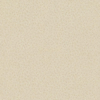 02523-50
