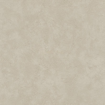 306323