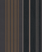 Rasch Modern Update 771572