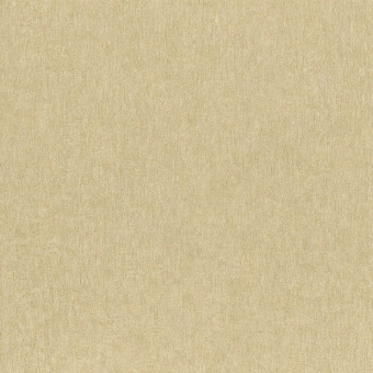 77855