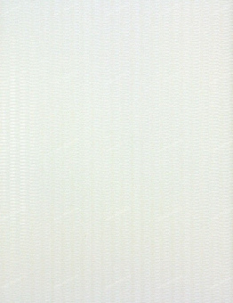 55034