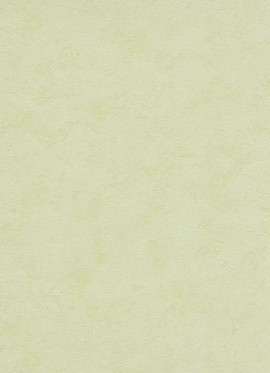 9725-07