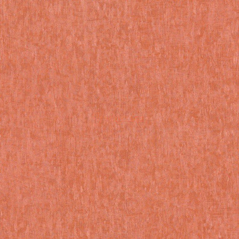 56020