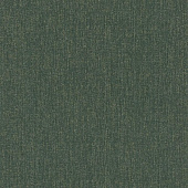 Rasch Poetry II 545470