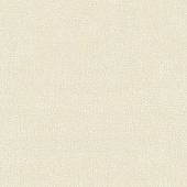 P+S International 4ever 02331-20