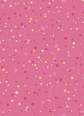 Erismann Lotta 7353-17