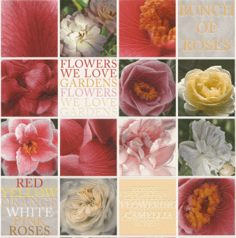 885118
