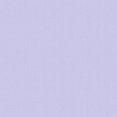 P+S International Delight 03882-40