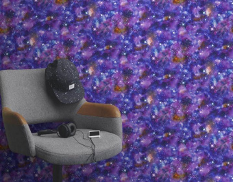 273205