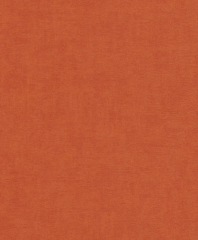 489958