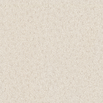 02523-20