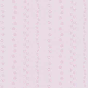 05575-20