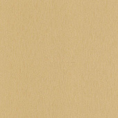 A.S.Creation Palladium 6854-38