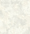 802528