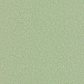 Erismann Eterna 2016 5797-36