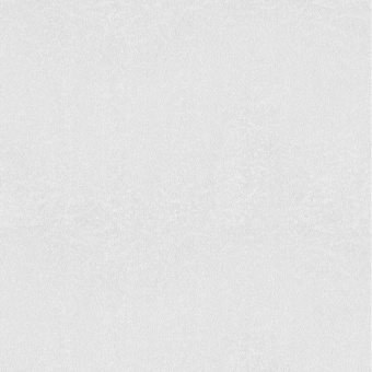 02537-10