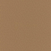 Erismann Eterna 2016 5797-11