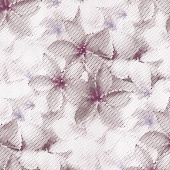 P+S International Fashion for Walls 02469-10