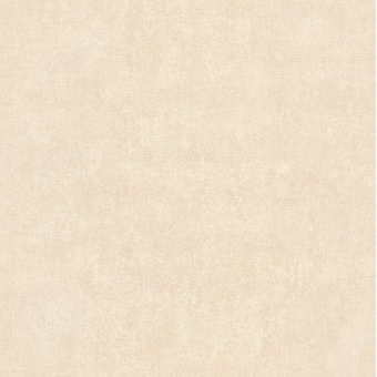 02503-50
