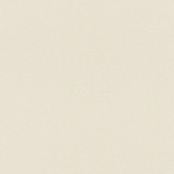 523812