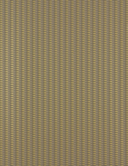 55041