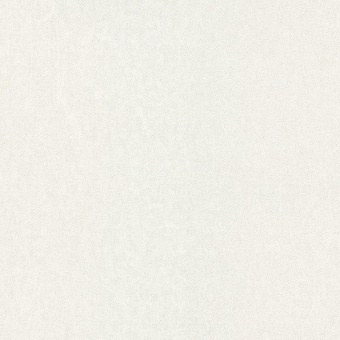 56043