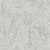 02462-10