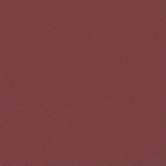 576306