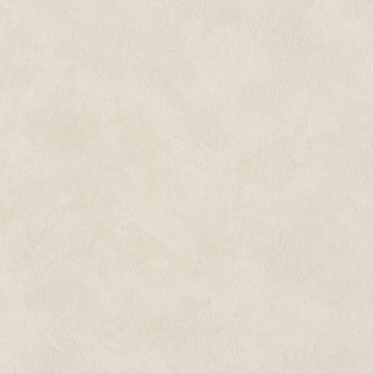 58818