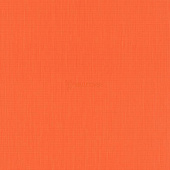 Rasch Barbara Home 527360