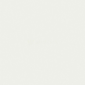 55204