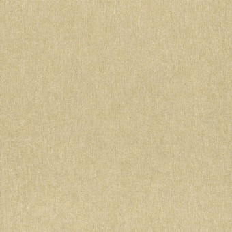 77855